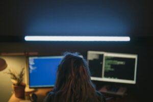 🖥️ The Growth of IT & Software in the Digital Era
